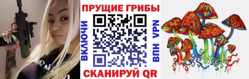 Псилоцибиновые грибы мицелий  Юхнов 